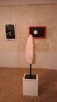 Mostra di scultura "Trasformazione della Materia", Palazzo Ancillotto